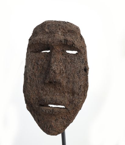 Masque en fougère arborescente et amalgame...