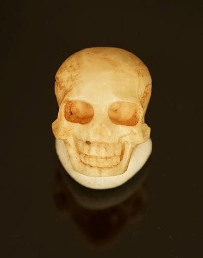 Memento Mori in prehistoric stag horn. L:...