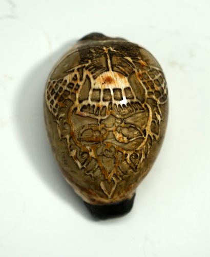 Coquillage, cauri gravé. 

Népal, XXème siècle....