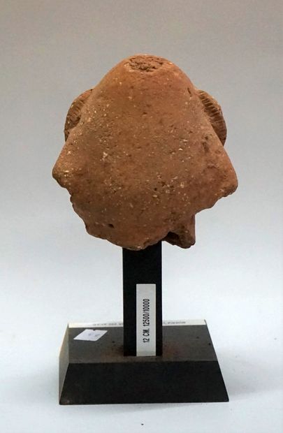 Tête anthropomorphe présentant un visage...