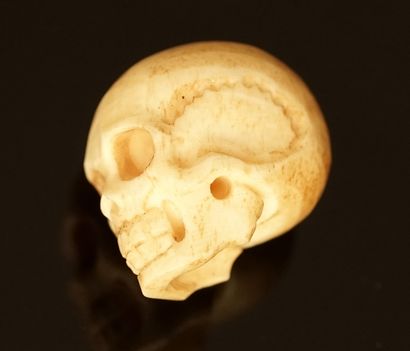 Memento Mori in prehistoric stag horn. L:...