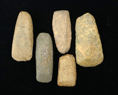Set of 4 polished axes and an adze axe (lg:...