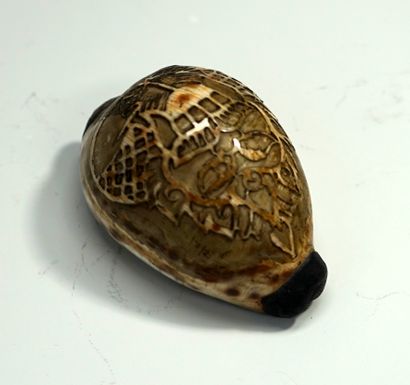 Coquillage, cauri gravé. 

Népal, XXème siècle....