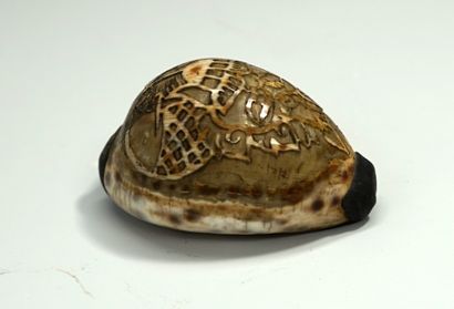 Coquillage, cauri gravé. 

Népal, XXème siècle....