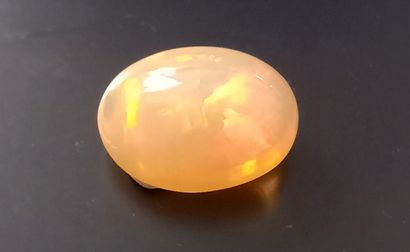 Beautiful oval opal. About 4ct. L: 1,7cm