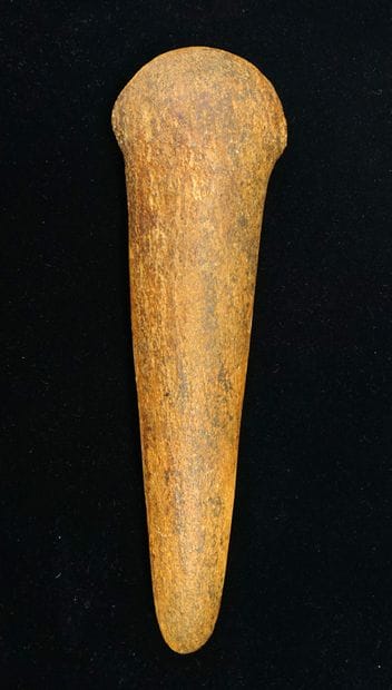 Polished fan-shaped axe in beige speckled...