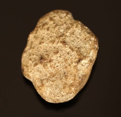 Small head representing a young man in limestone....
