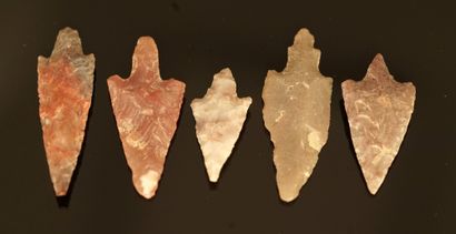Five arrowheads with peduncle and wings from...