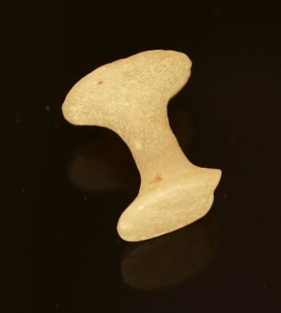 Rock crystal labret in the form of a coil....