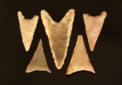Five flint arrowheads called 