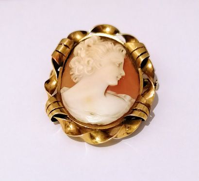 18K (750°) rose gold BROCHURE PENDANT, set...