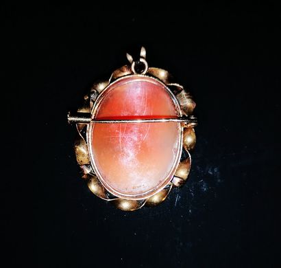 18K (750°) rose gold BROCHURE PENDANT, set...