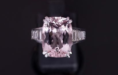 RING in 18k white gold (750/°°) centered...