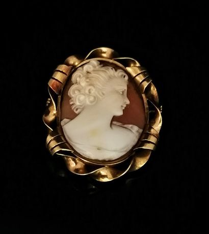 18K (750°) rose gold BROCHURE PENDANT, set...