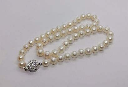 NECKLACE freshwater pearls, silver clasp...