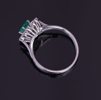 RING in platinum and 18k (750/°°) white gold...