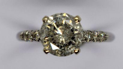 
SOLITARY in 14K (585/°°) white gold (loaded...