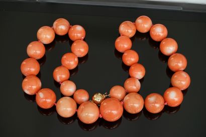 NECKLACE composed of orange coral balls in...