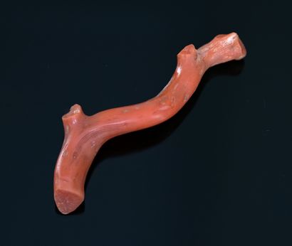 BRANCHE de corail sculptée. XIXème. L: 6cm,...