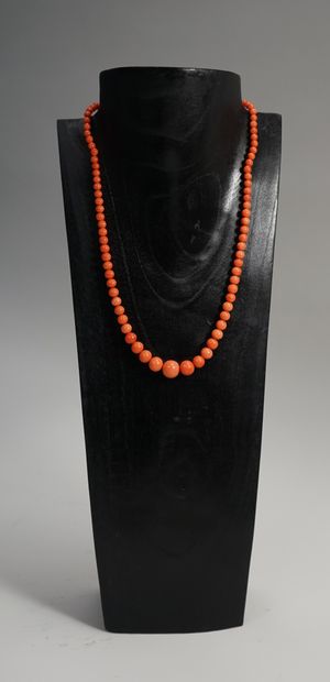 NECKLACE composed of round coral beads, in...