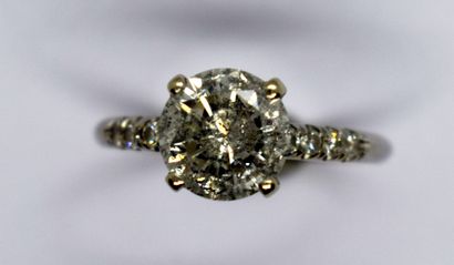 
SOLITARY in 14K (585/°°) white gold (loaded...