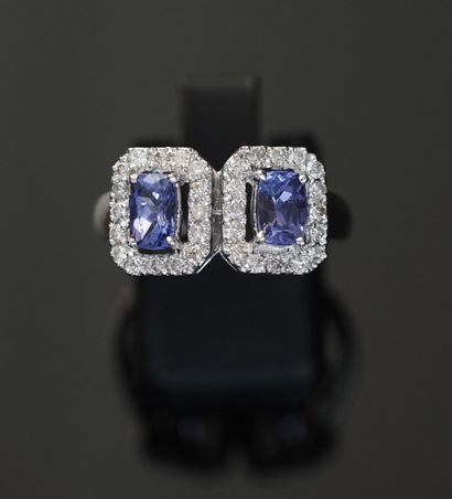 RING in 18k white gold (750/°°) set with...