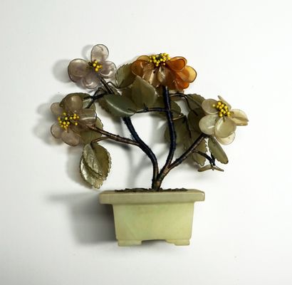 CHINA. Small miniature tree in its planter...