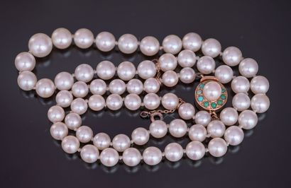 NECKLACE of cultured pearls in fall, the...