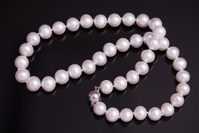 CHOCKER COLLAR of white freshwater pearls...