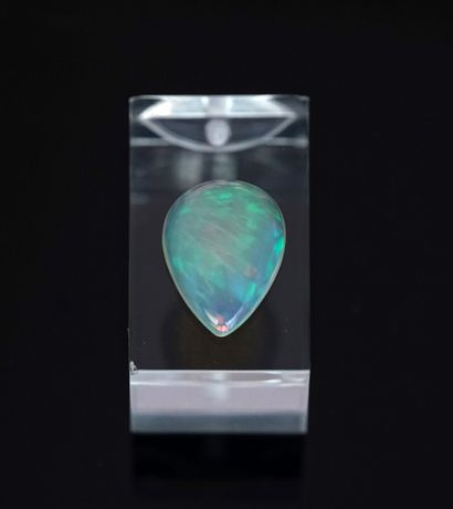 Beautiful Welo opal in the shape of a drop....