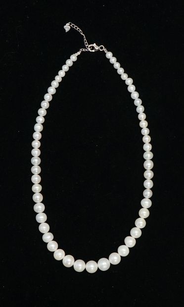 NECKLACE of white freshwater pearls in fall,...