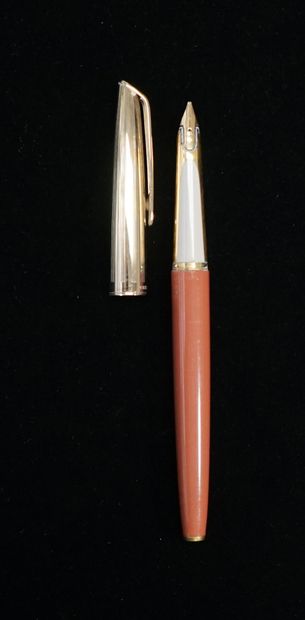 WATERMAN - STYLO Waterman CIF, Cartridge...