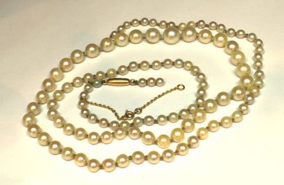 NECKLACE of Akoya pearls to be threaded,...