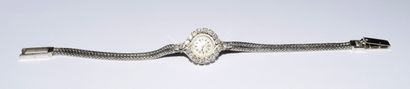 OMEGA - Lady's WATCH in 18k (750/°°) white...