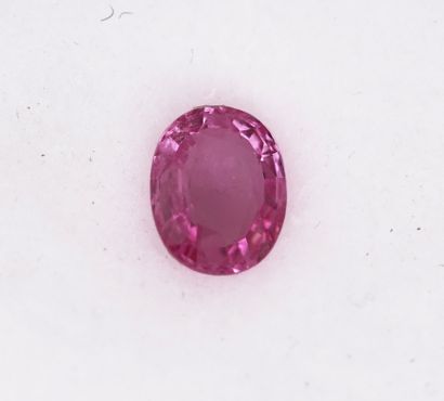 Pink SAPHIR on paper. 9x7mm (about 2ct /...