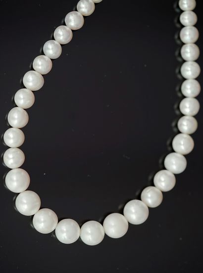 COLLIER composé de perles de culture blanches...