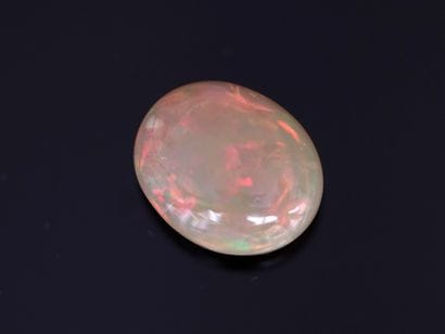 OPAL oval cabochon on paper, 16.50ct (2.1x1.7cm...