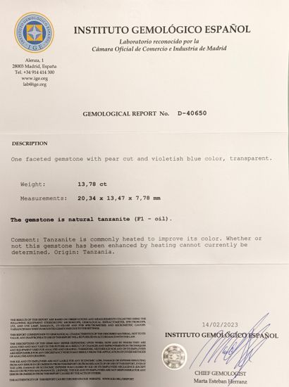 TANZANITE sur papier 13.78ct avec certificat...