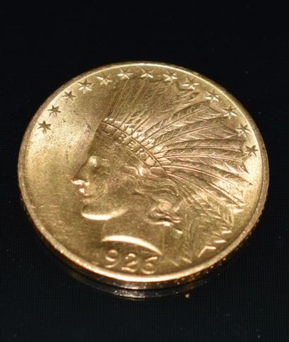 PIECE 10 DOLLARS ¨tête de chef indien. PB :...