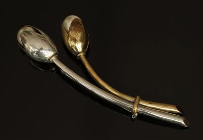 FABRICE - BROCHE 