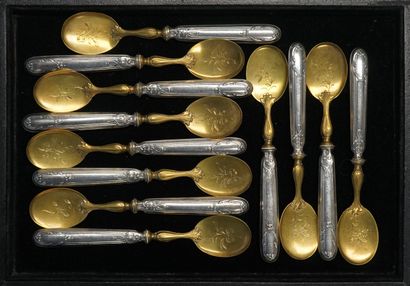 SET of 12 ICE SPoons, the handle in filled...