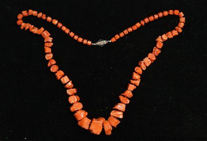 COLLIER composé de tronçons en chute de corail...