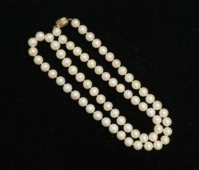 COLLIER de perles d'eau douce quasi rondes,...