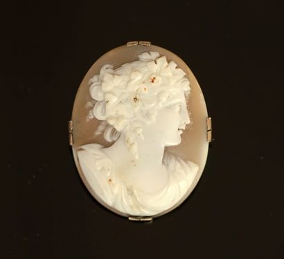 A shell cameo with a woman's profile in the...