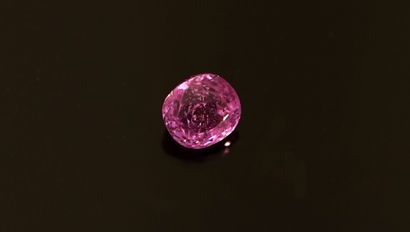 SAPHIR on faceted cushion-cut pink paper,...