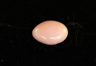 NATURAL OVAL CONQUE PEARL, undrilled, 2.28ct...