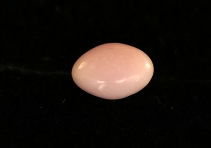 NATURAL OVAL CONQUE PEARL, undrilled, 2.28ct...