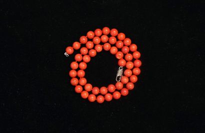 COLLIER en boules de corail naturel rouge...