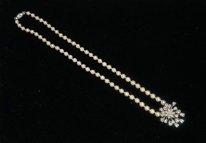 COLLIER en perles de culture blanches en...