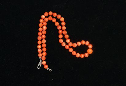 COLLIER en boules de corail naturel rouge...